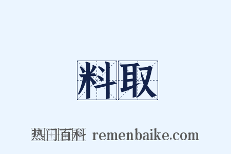 料取是什么意思的图片